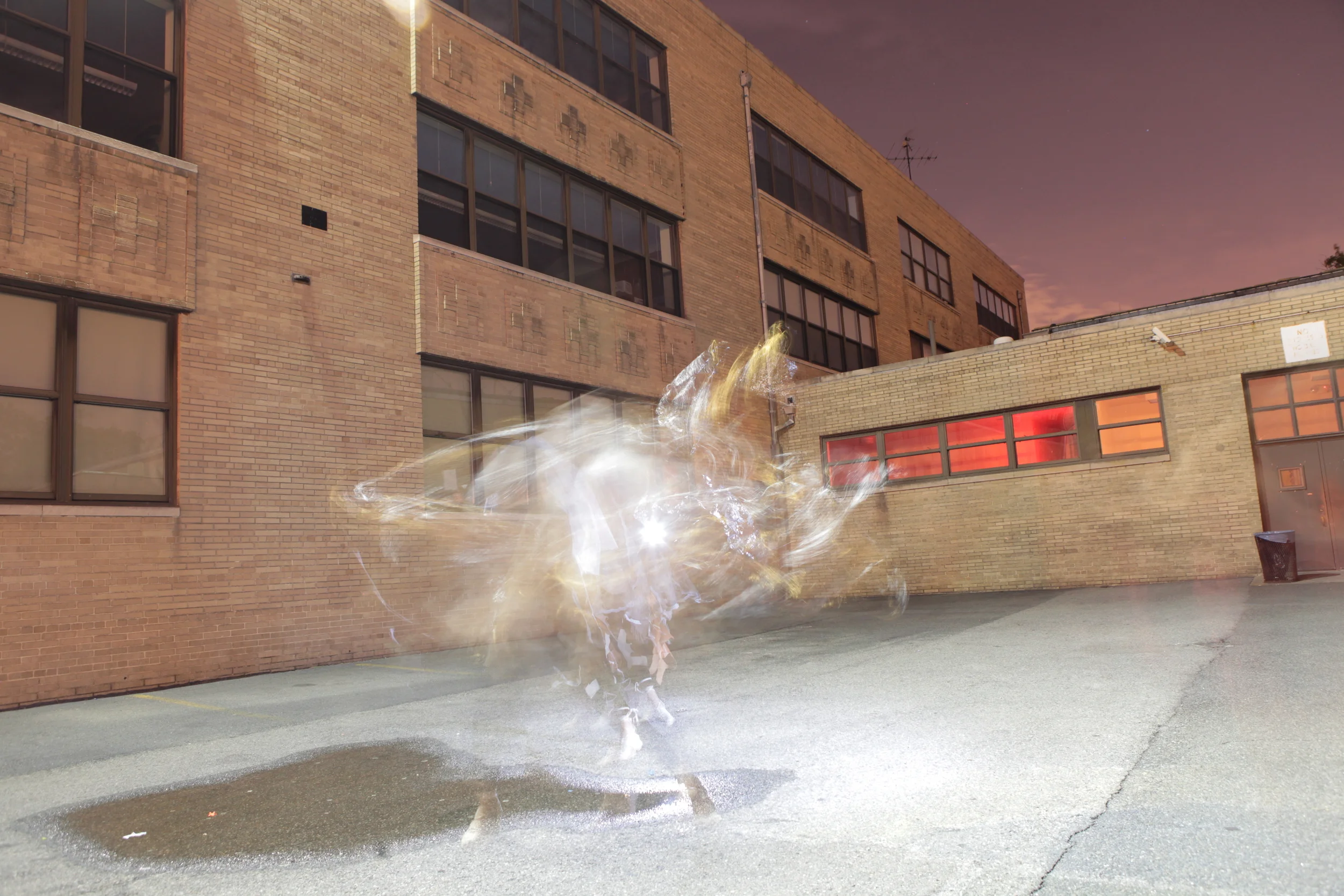 Entanglement Series, Brooklyn, NY