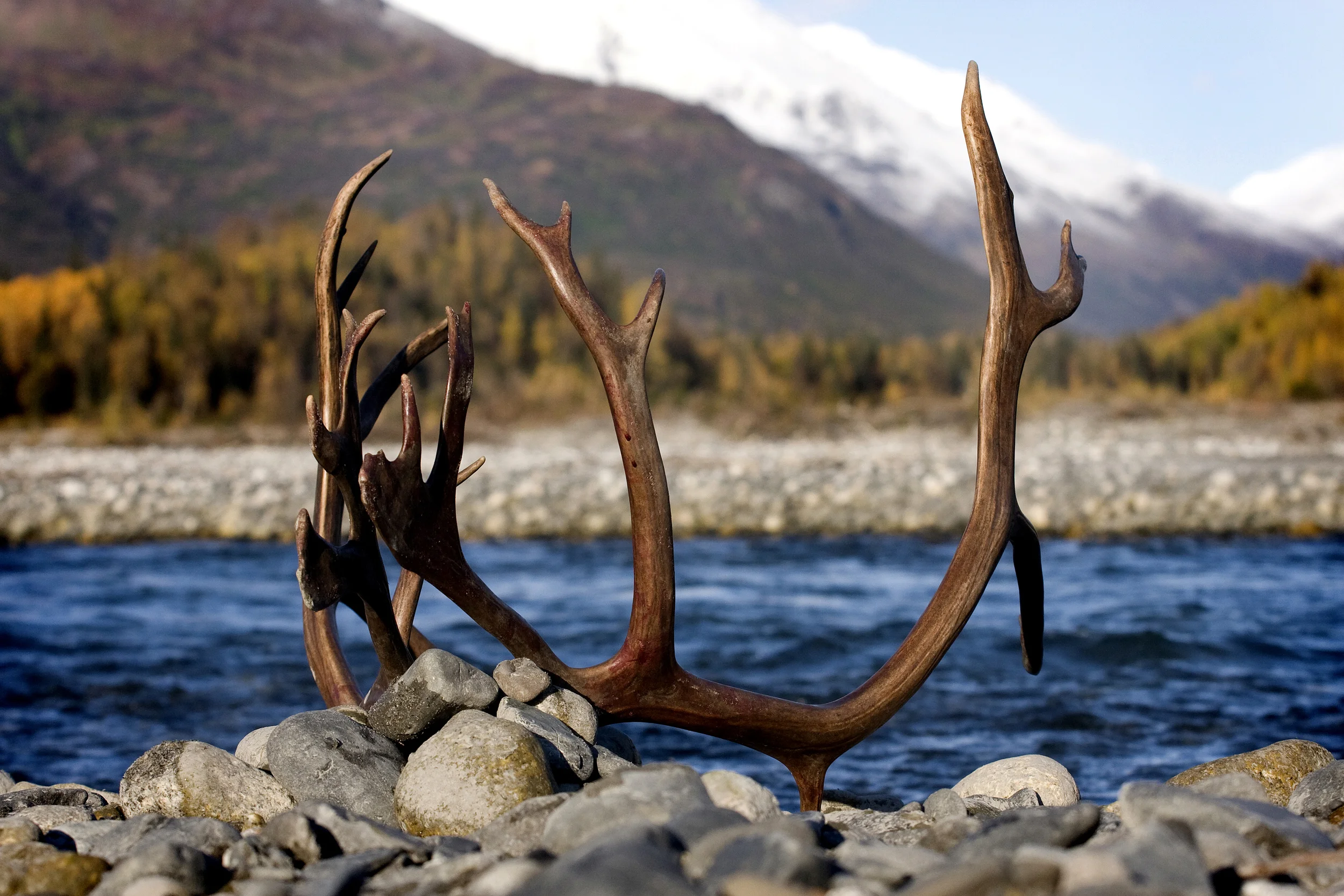 Tordrillo Mountains, Alaska