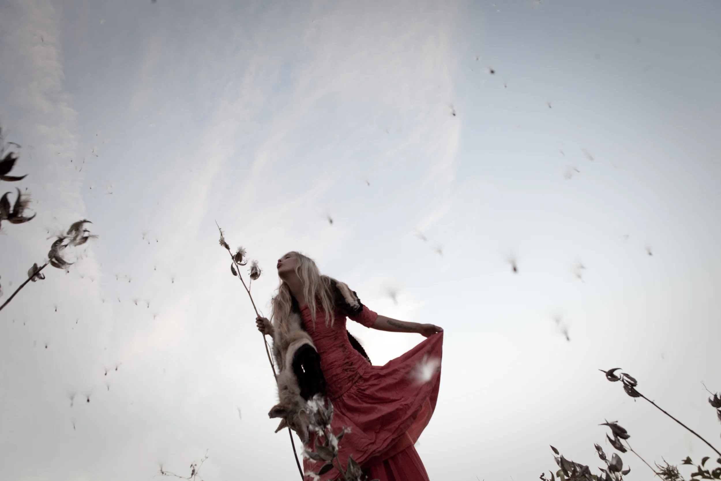 Bushwick Taxidermy, Beacon, NY