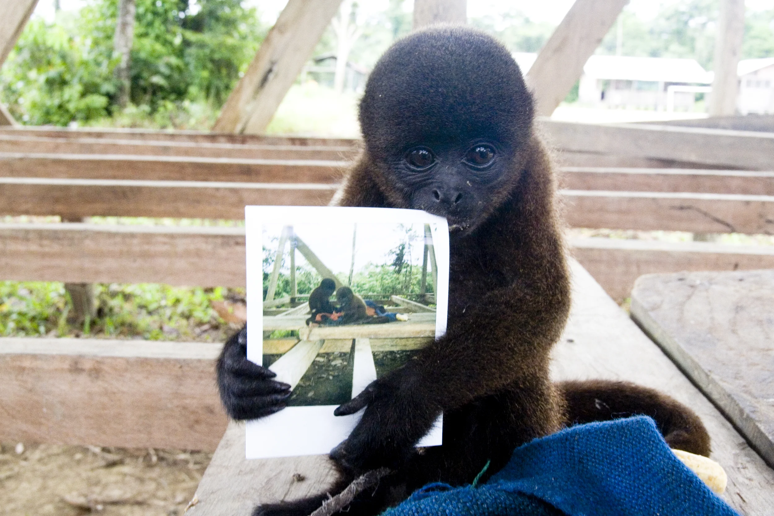 Amazon Trek, Ecuador