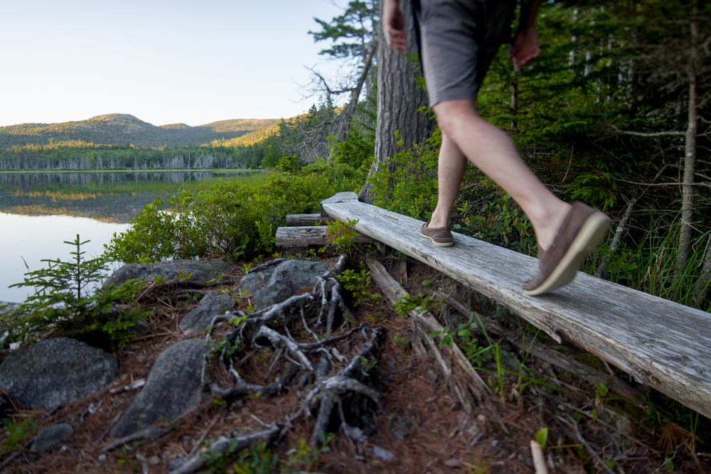 Restoring Acadia's Trails for the New York Times
