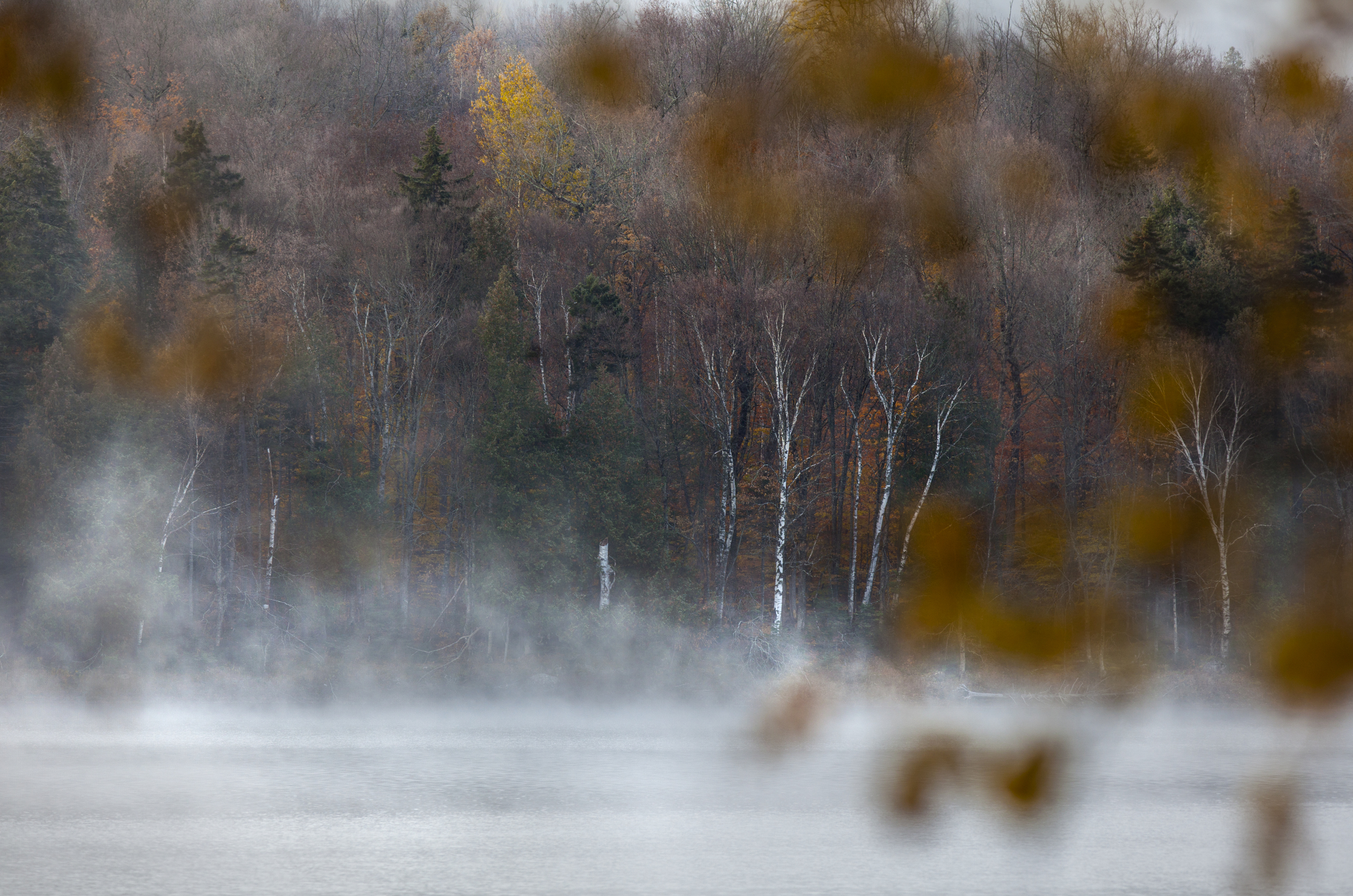 Hunting in Jackman Maine for Nowhere Magazine