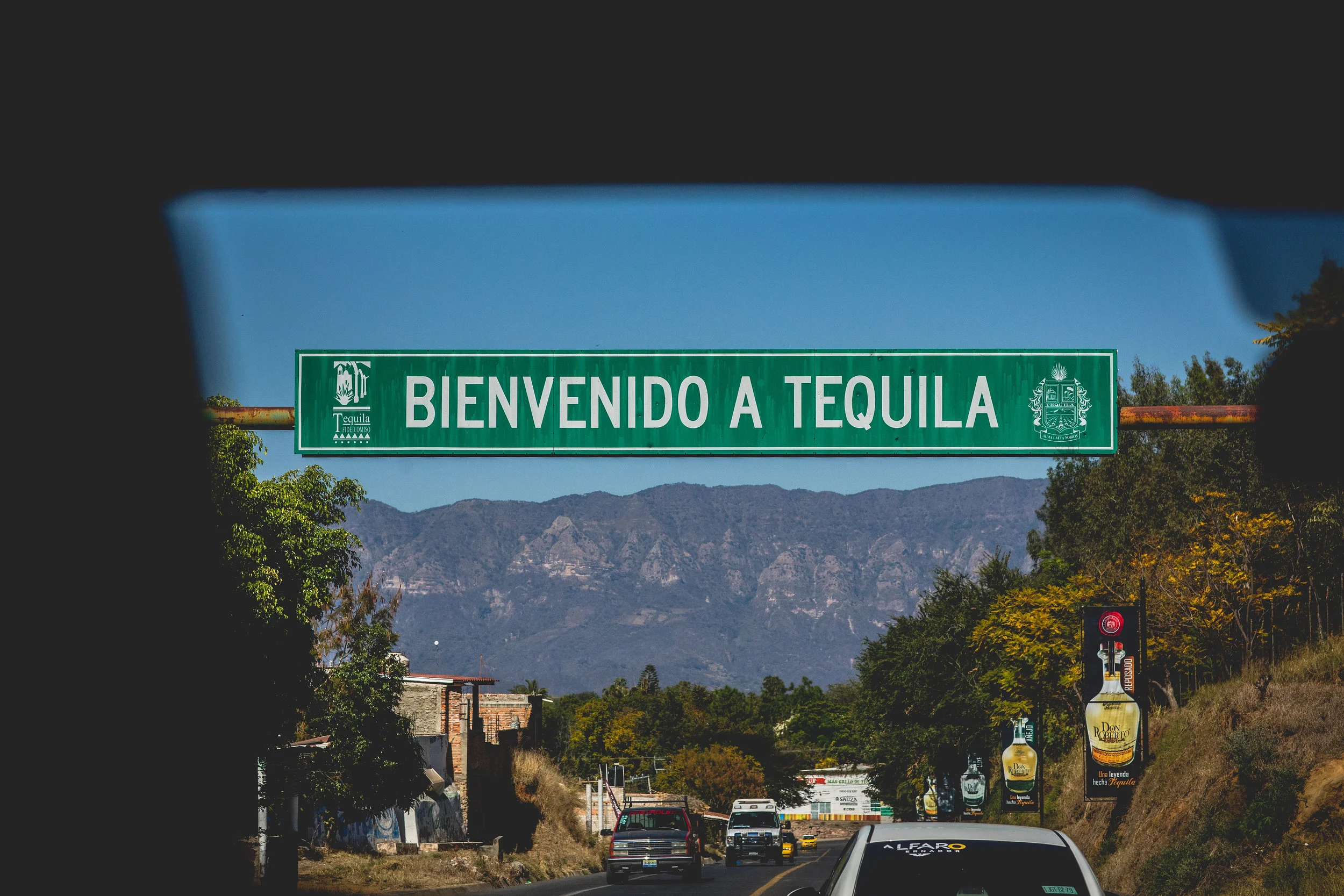 JQ6A6702.jpg
