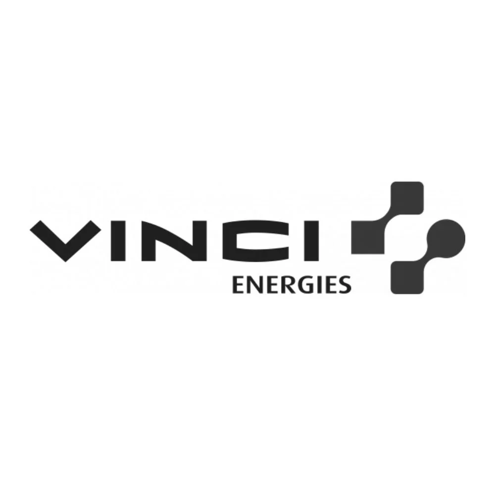 Vinci.jpg