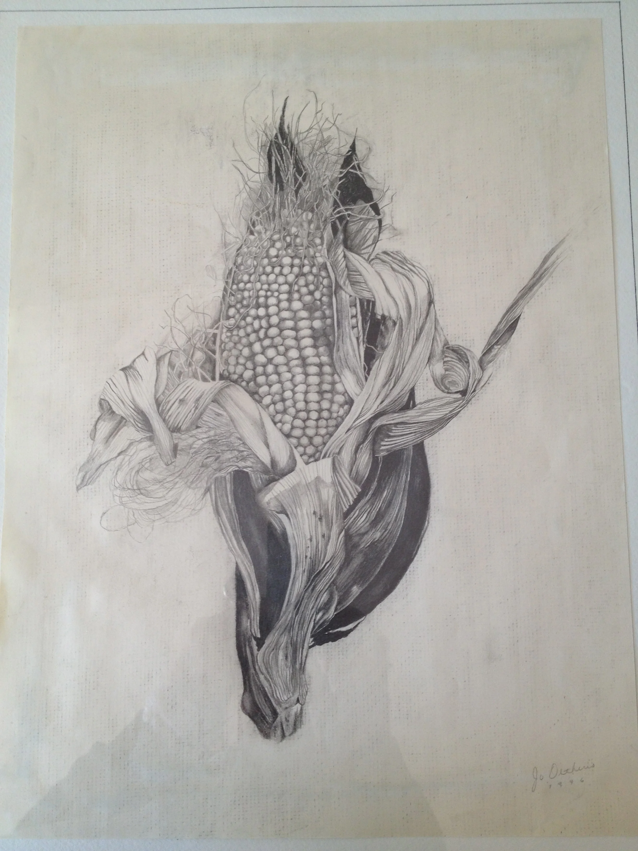 Corn IMG_1044.JPG