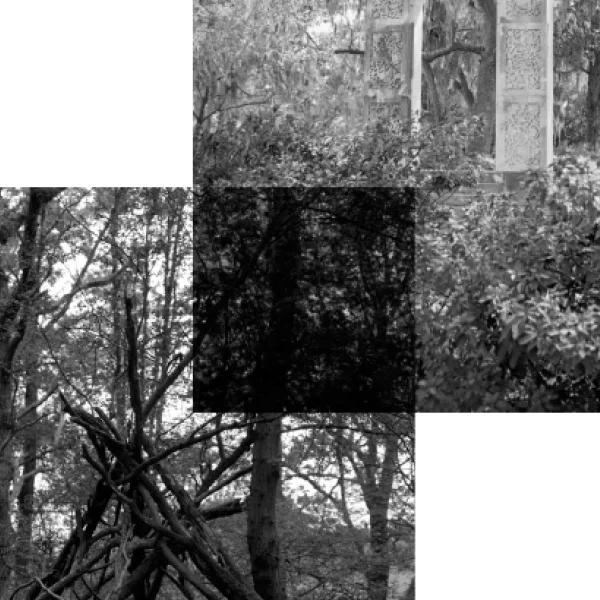 Transparency All transparency, overlays and multiply effects need to be flattened before the artwork comes to us. Basically Risographs don’t like them and they cause problems. Please speak to us if you need any help with this.
