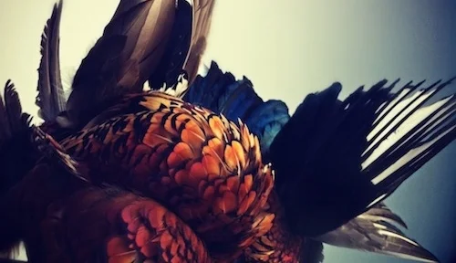 Still Life After Death - Level 2