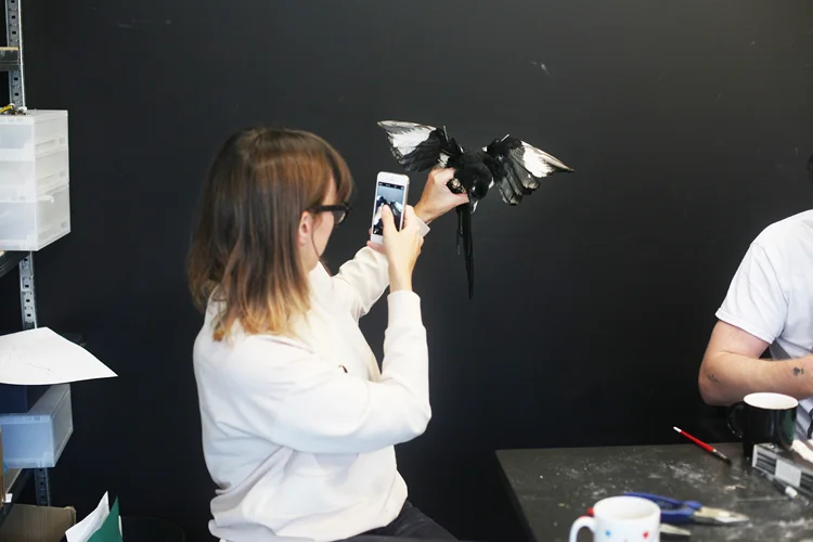 Rose Robson, Taxidermy workshop