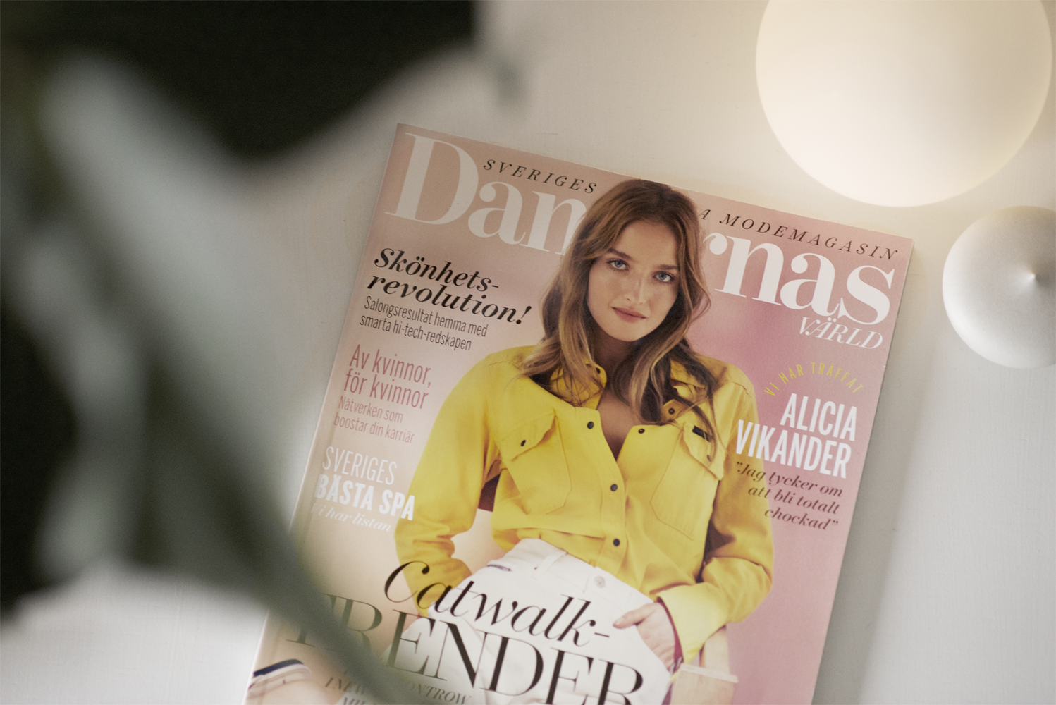 Damernas Värld