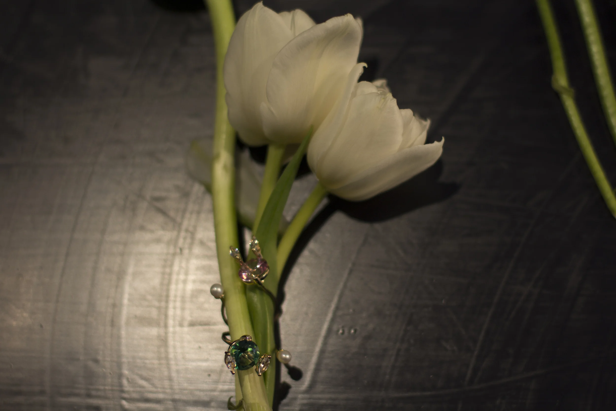 IMG_8389.jpg