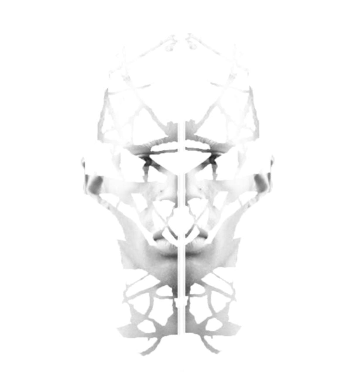 Screen Shot 2017-04-25 at 11.14.16 PM.png