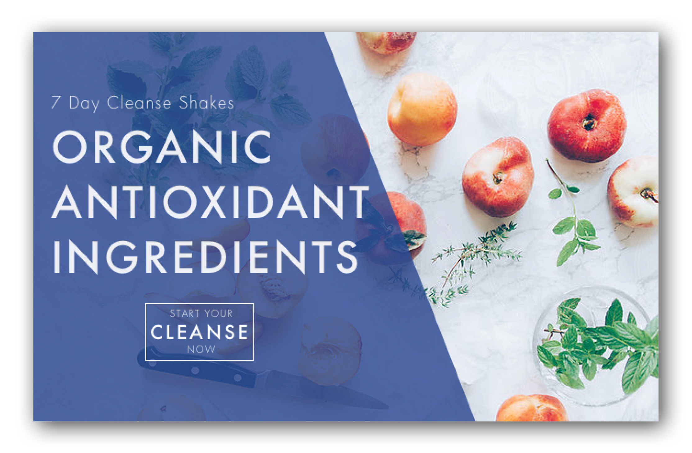 THE CLEAN PROGRAM PORTFOLIO.png