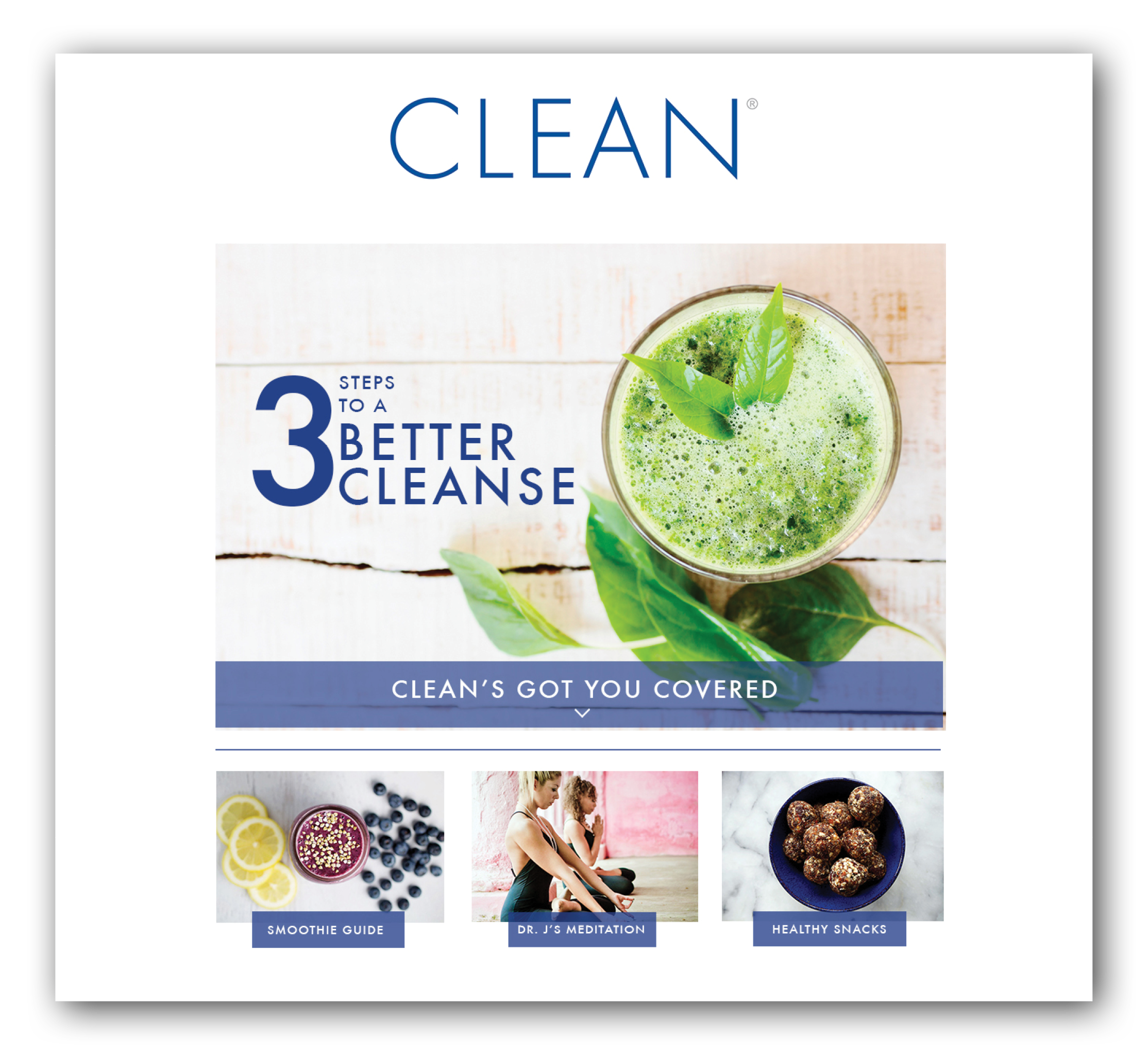 THE CLEAN PROGRAM PORTFOLIO4.png