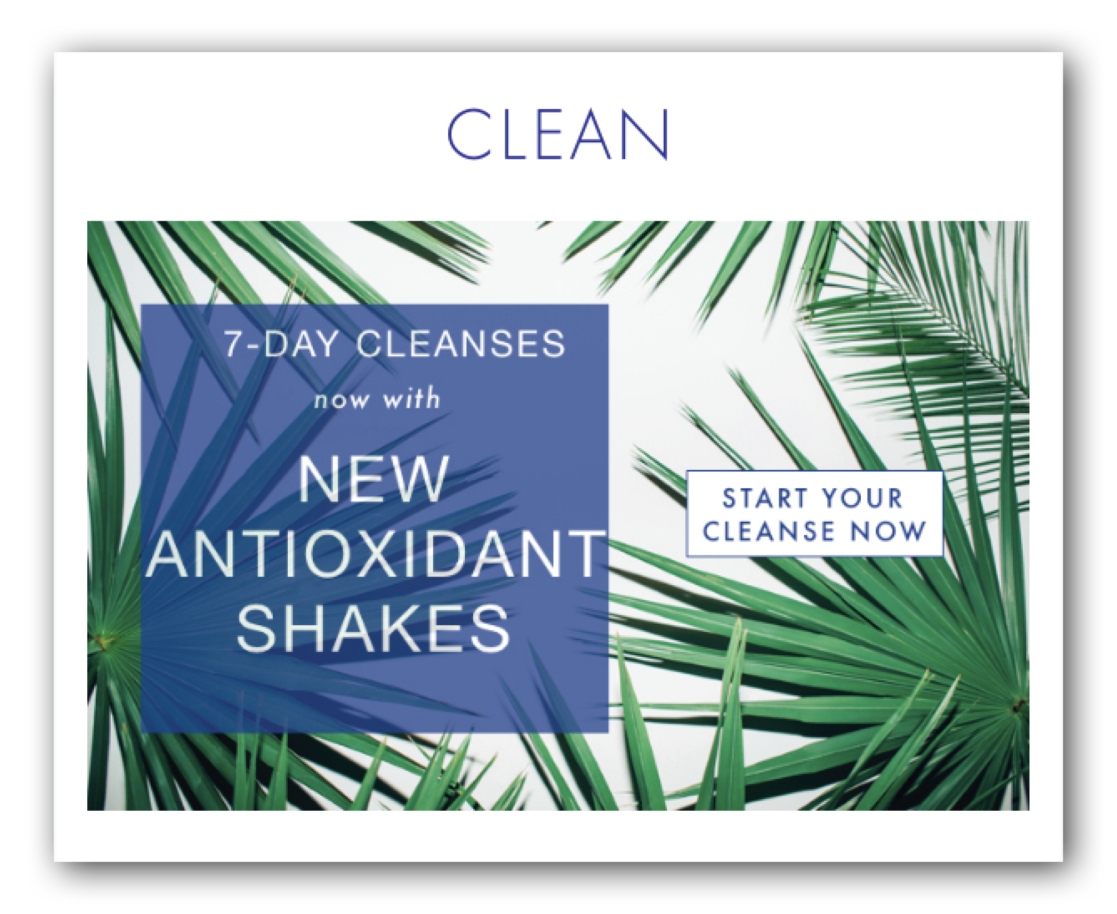 THE CLEAN PROGRAM PORTFOLIO6.png