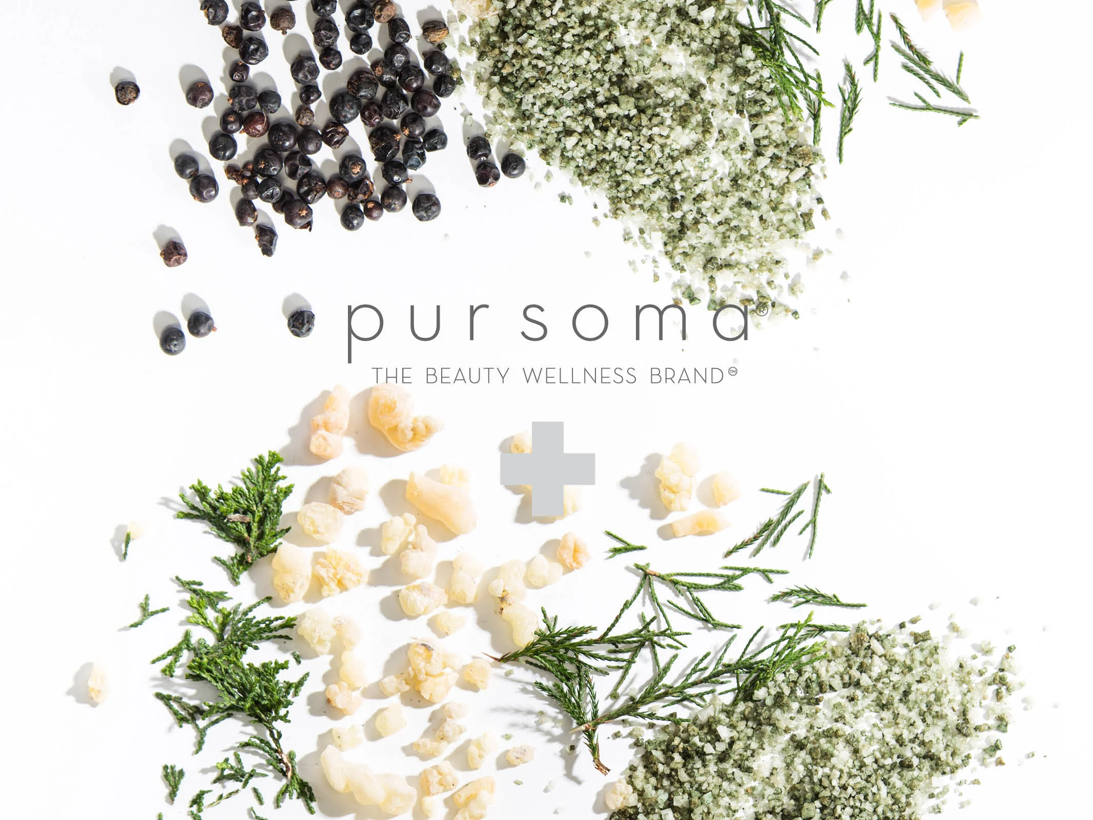 Pursoma Digital Booklet.jpg