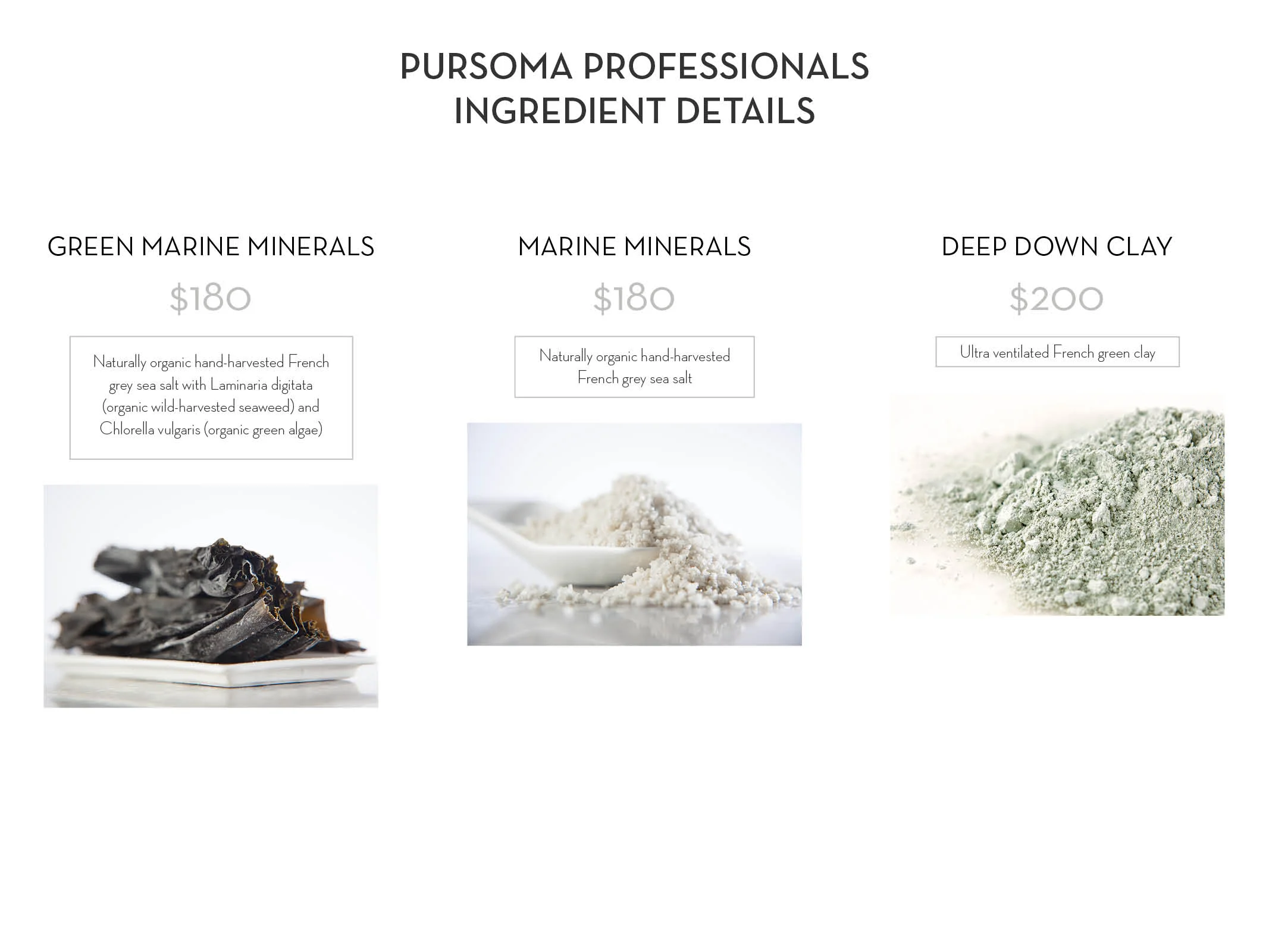 Pursoma Digital Booklet6.jpg