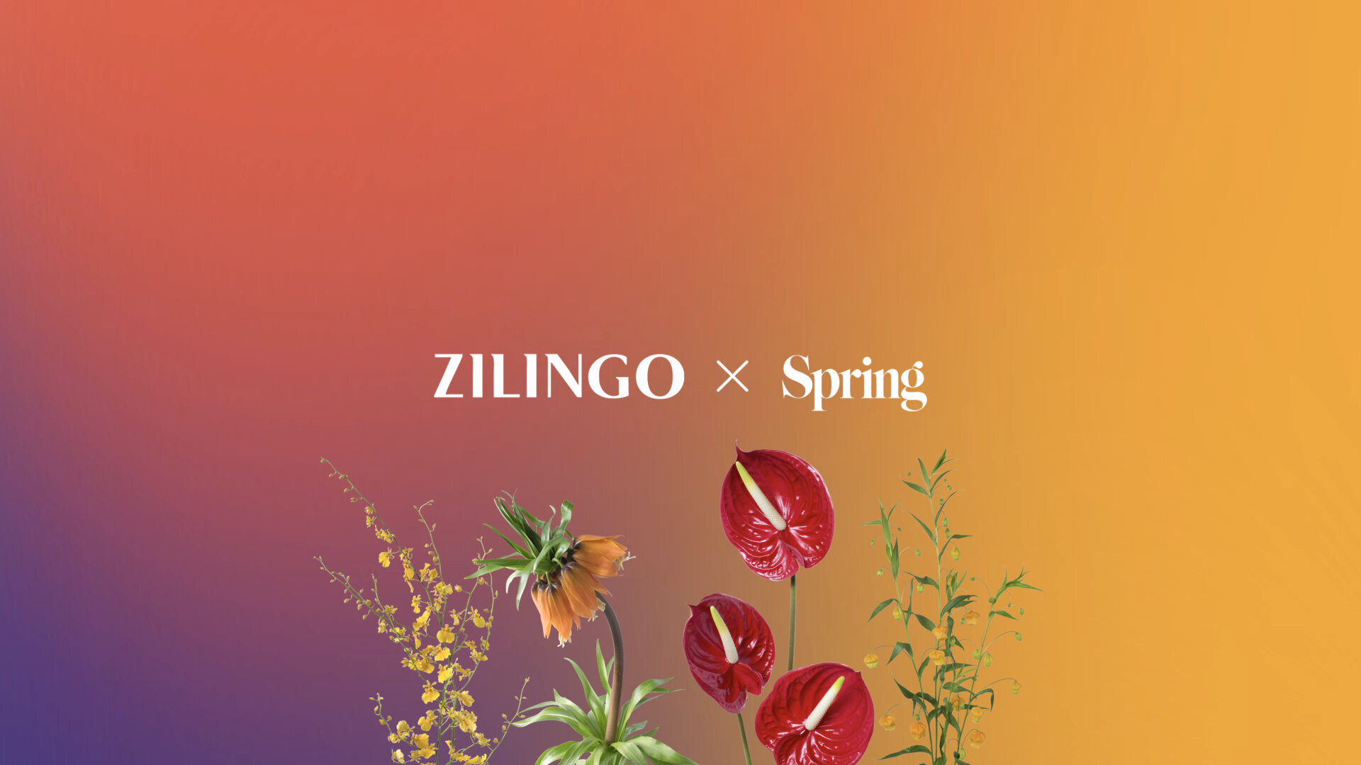 ZILINGOxSPRINGSTUDIOS_keynote.002.jpeg