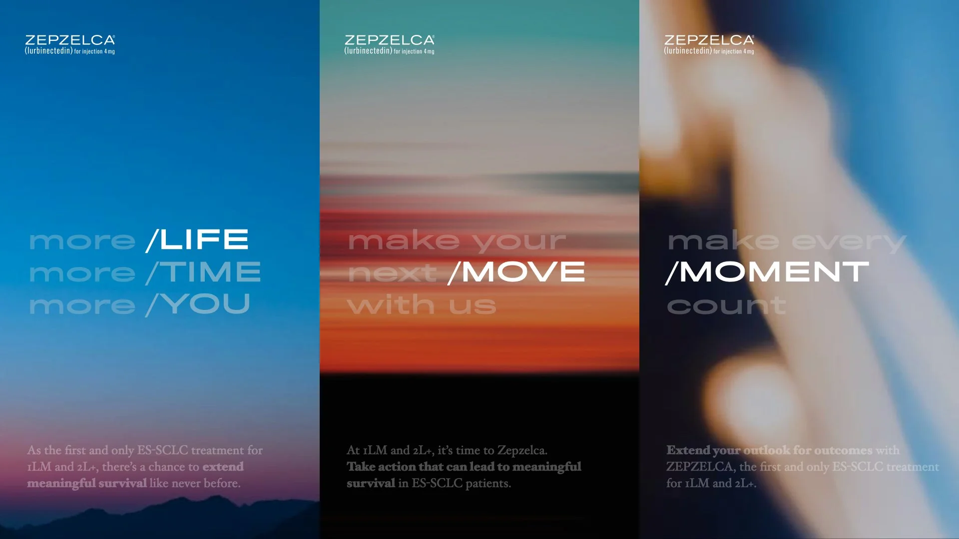 02.01.2024 Zezelca V15 R2.047.jpeg