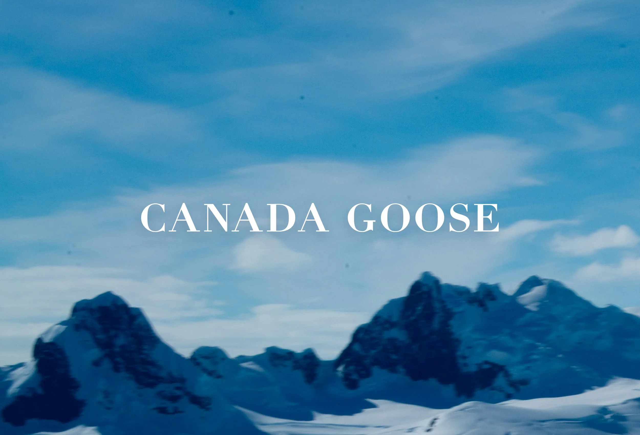 CANADA GOOSE.jpg