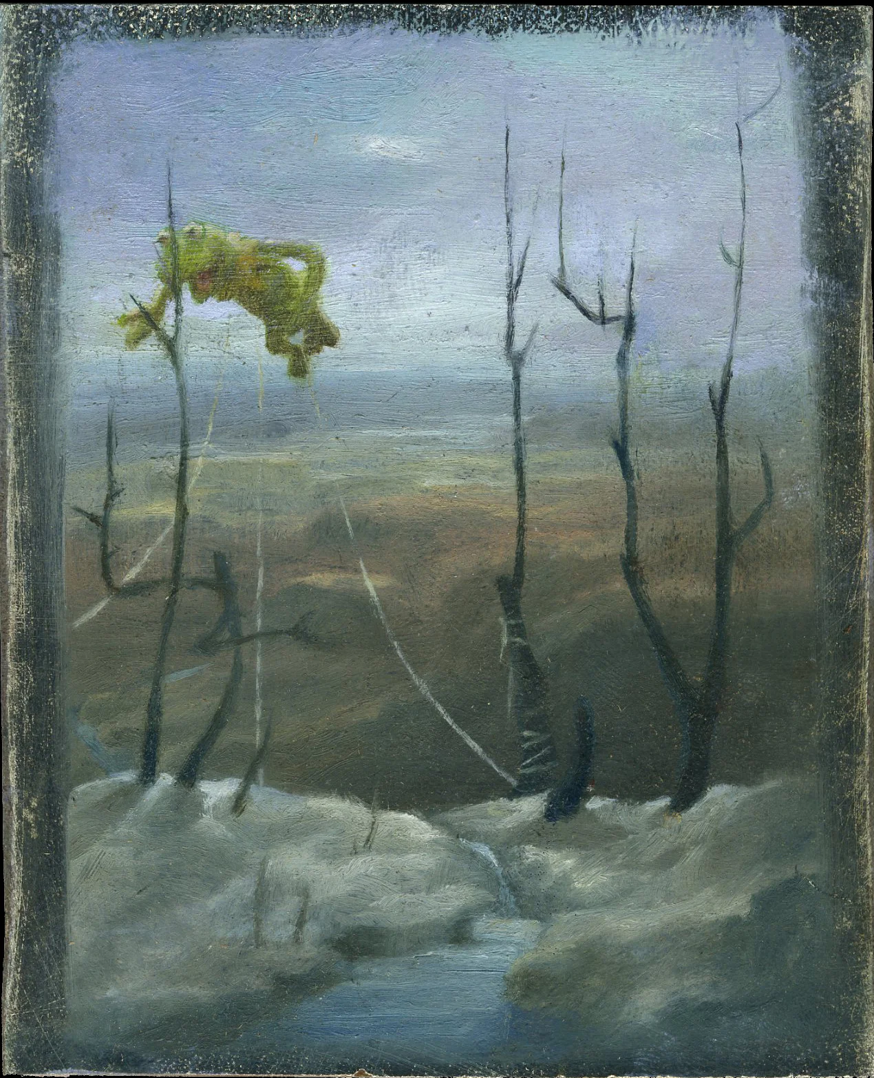 Kermit Over Driftless Minnesota.jpg