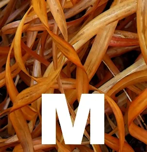 M thumbnail lower M try 1.jpg