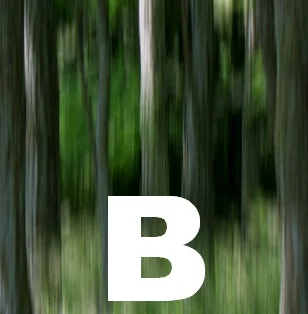 b thumbnail trees.jpg