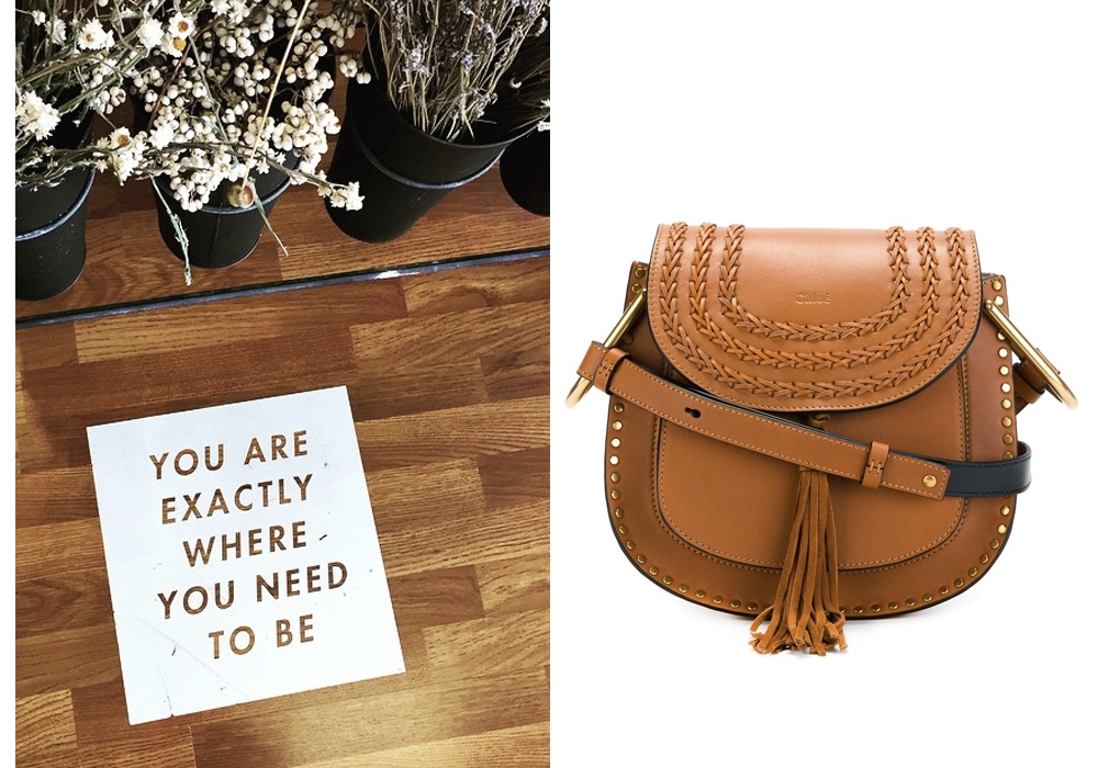 Right- Chloe 'Hudson' Bag