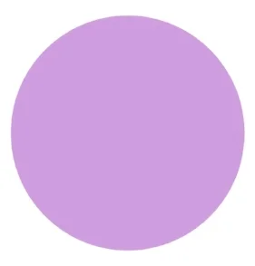 ssNEW_avatar copy.jpg