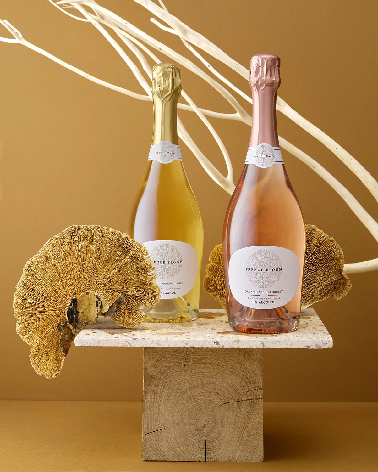 Fond 1 Scène 3 -.jpg