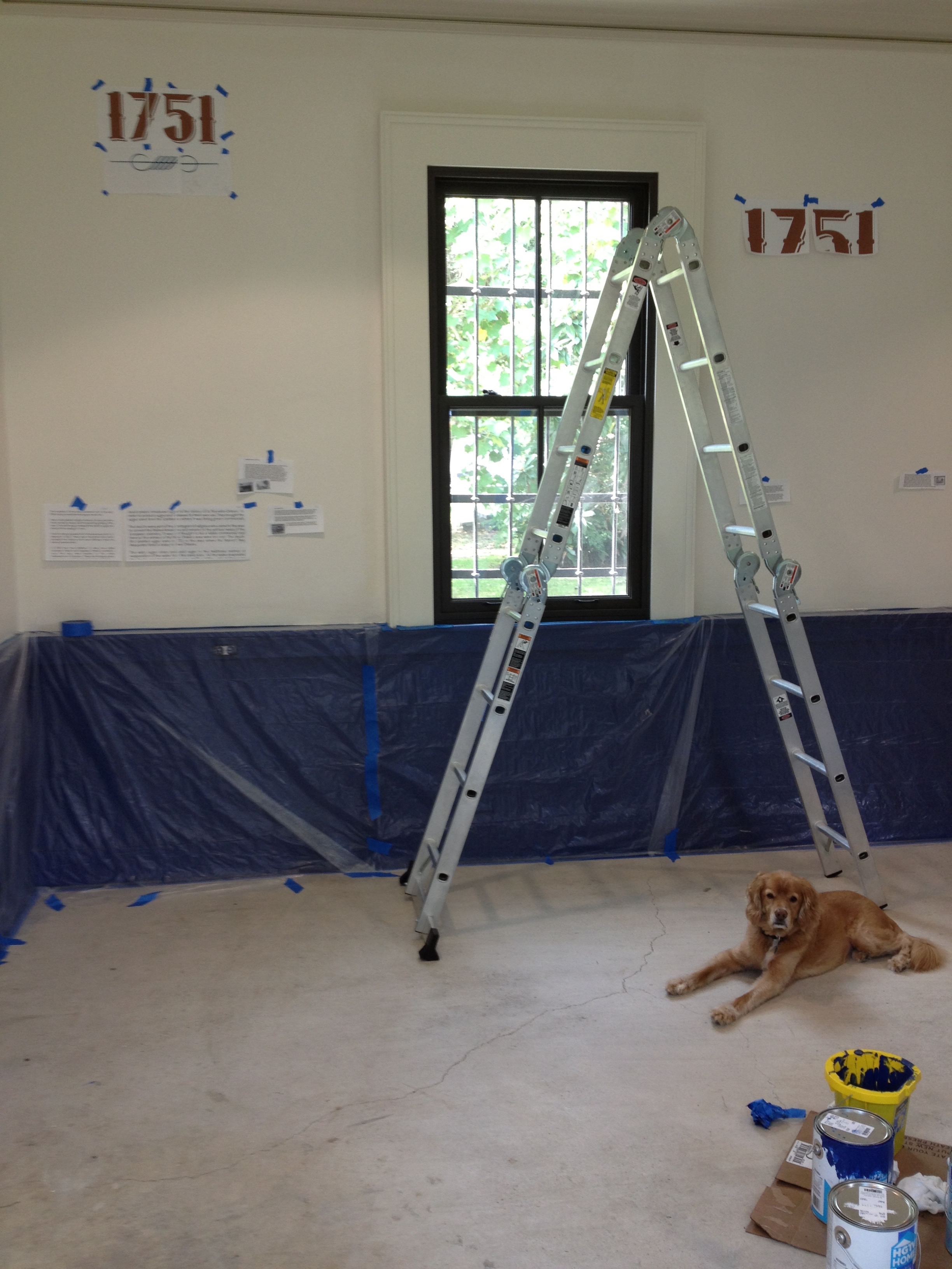 Installation Process