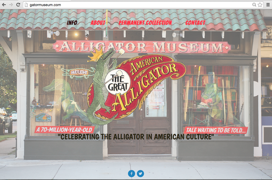 Website Design