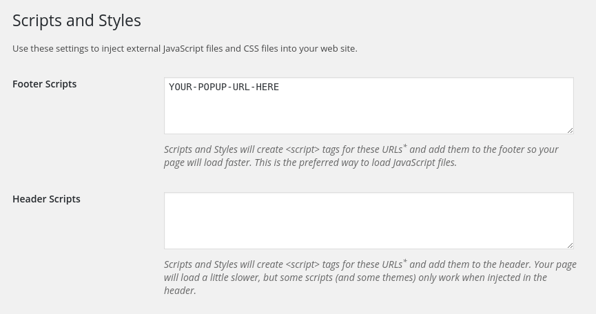 WordPress Settings Page for Scripts and Styles Plugin