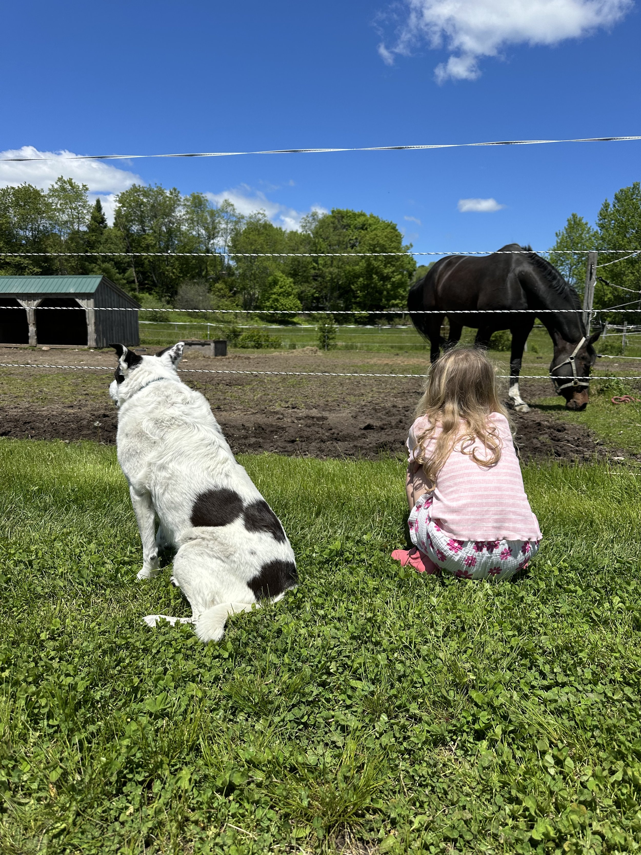 Katy & Reese watch the new herd 2025