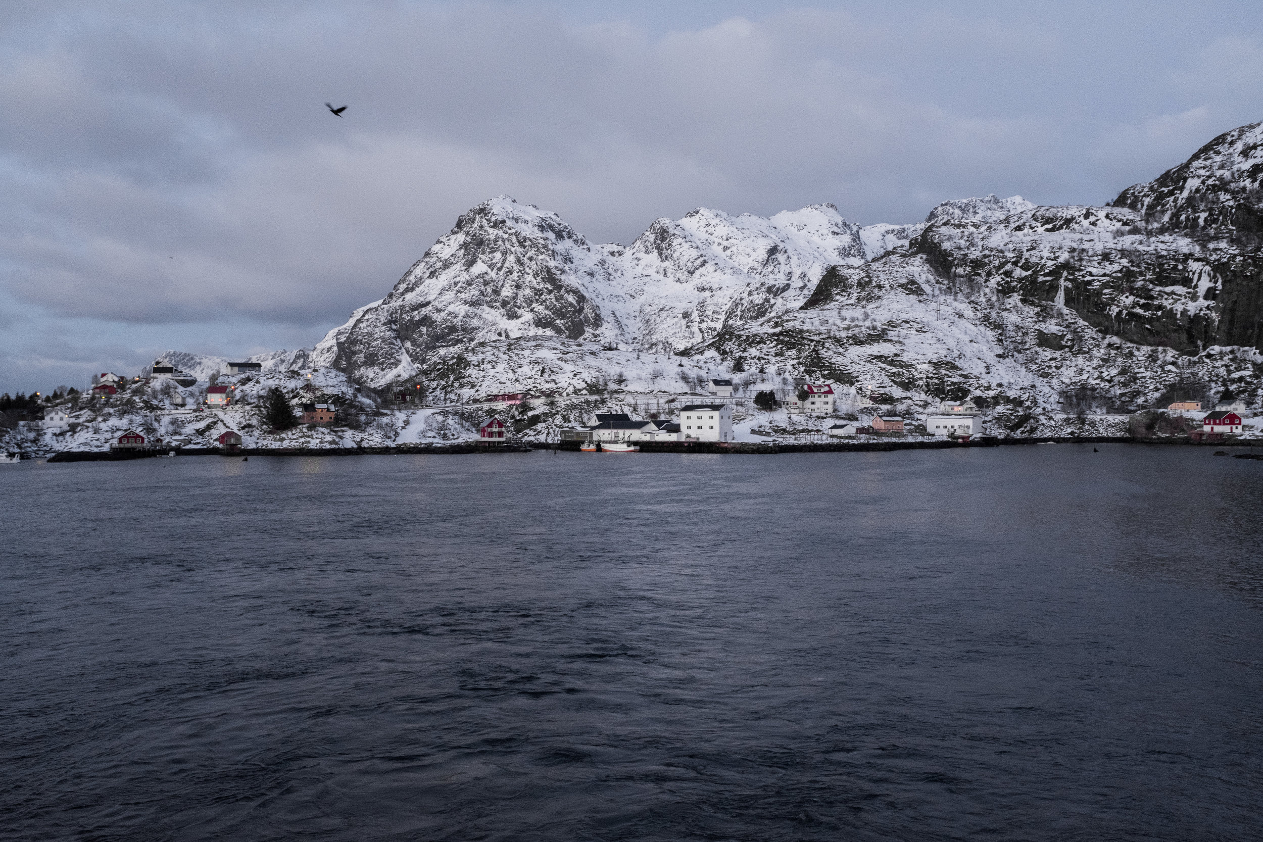 Lofoten-1896.jpg