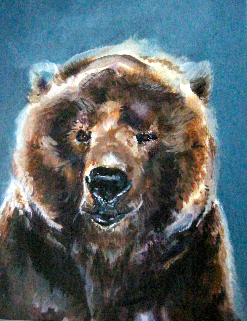 Bear