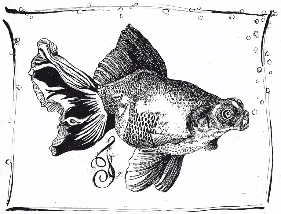Fish Pen and Ink.jpg