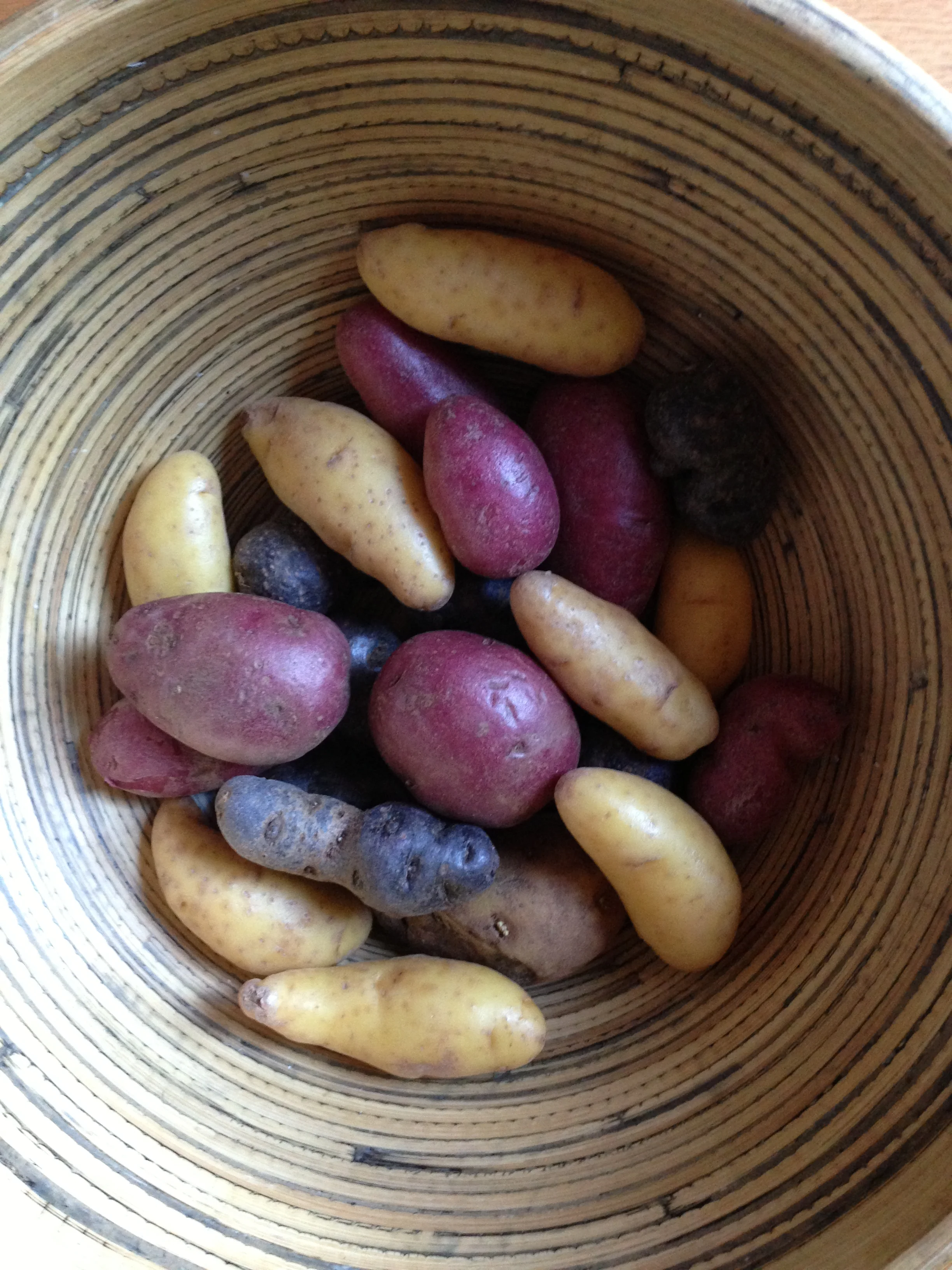 The Blues, Blacks, Purples & Reds of Winter ~ Roasted Heirloom Potatoes