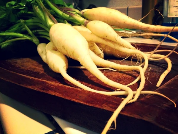 Ravishing Radishes From My Produce Box
