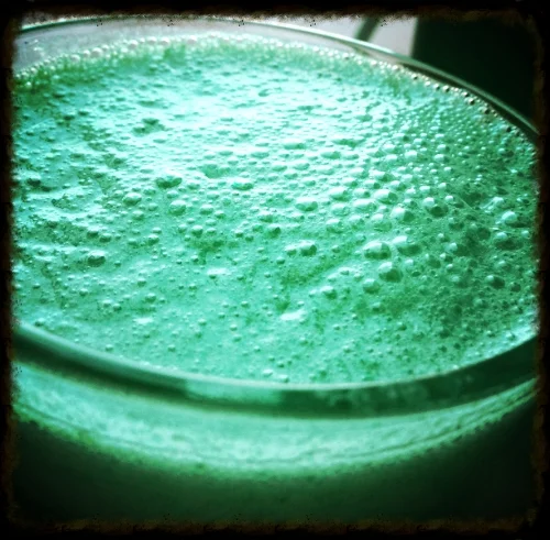 Kale Smoothie – the Irish Hippie Drink of the Day