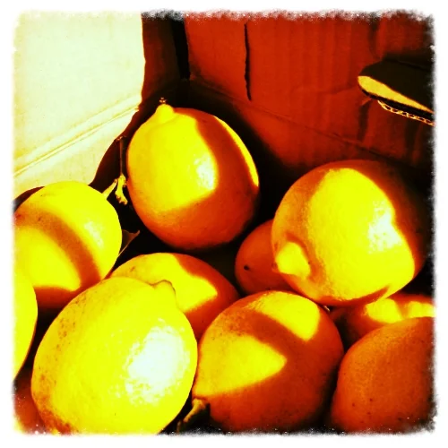 Enliven the Liver with Lemon