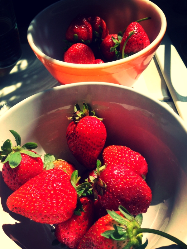 Summer Color Summer Flavor