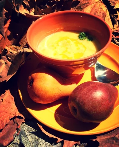 For the Love of Leeks Soup 