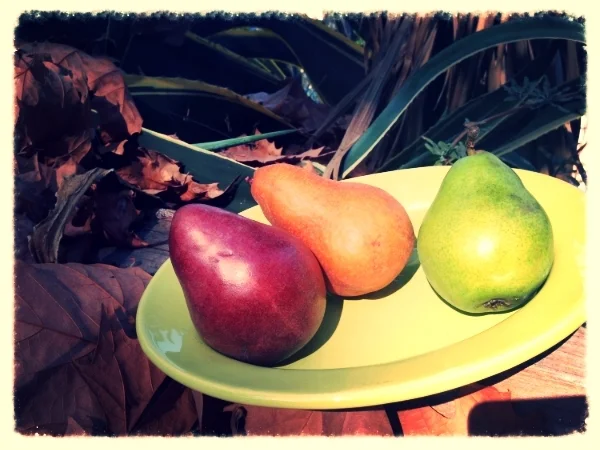 Are Pears The New Apple this Fall? 