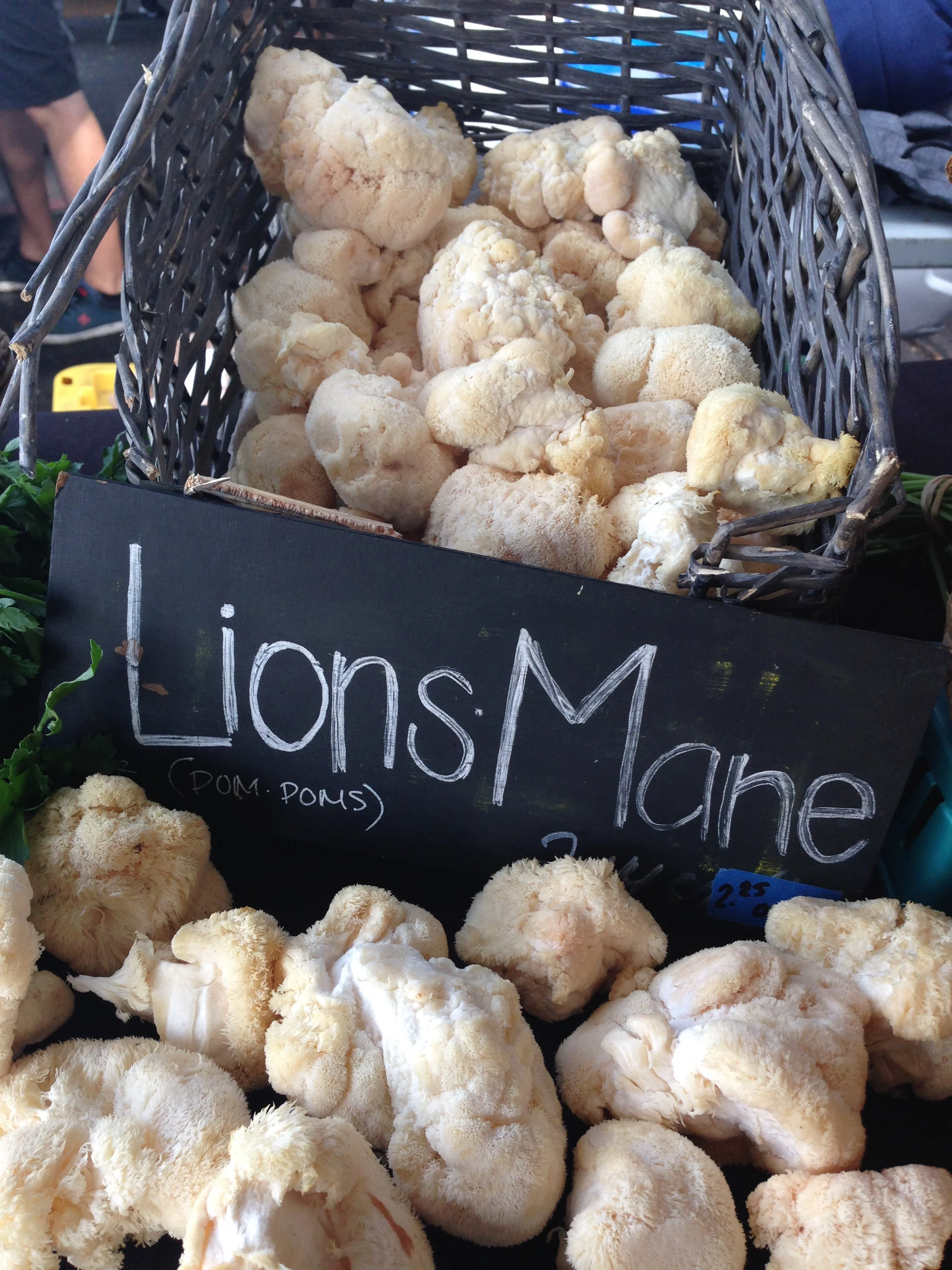 Shrooms for Health and Happiness