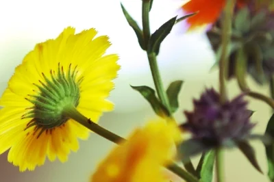 Is It Summer Already? 6 Ways To Make It So