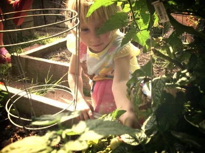 How to Eat A Summer Tomato