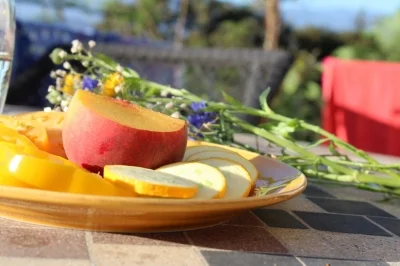 Late Summer Season ~ Yes, It Really is a Season!