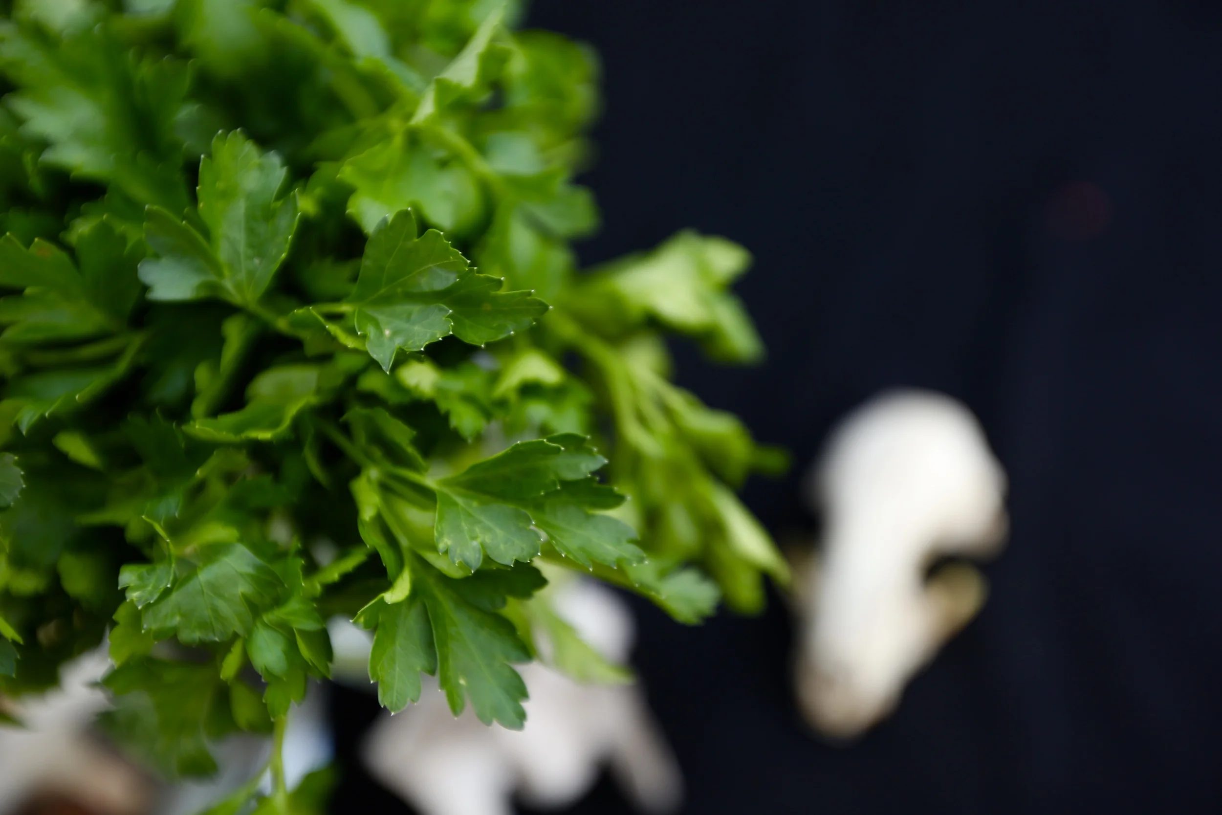 Parsley Packs a Punch