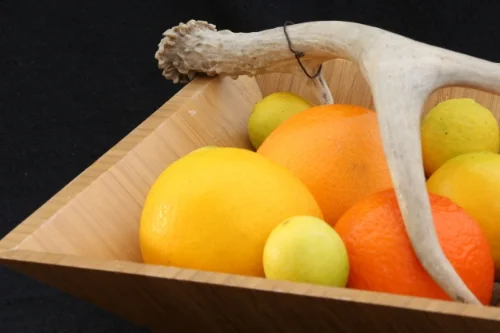 Speaking of Citrus Vinaigrette