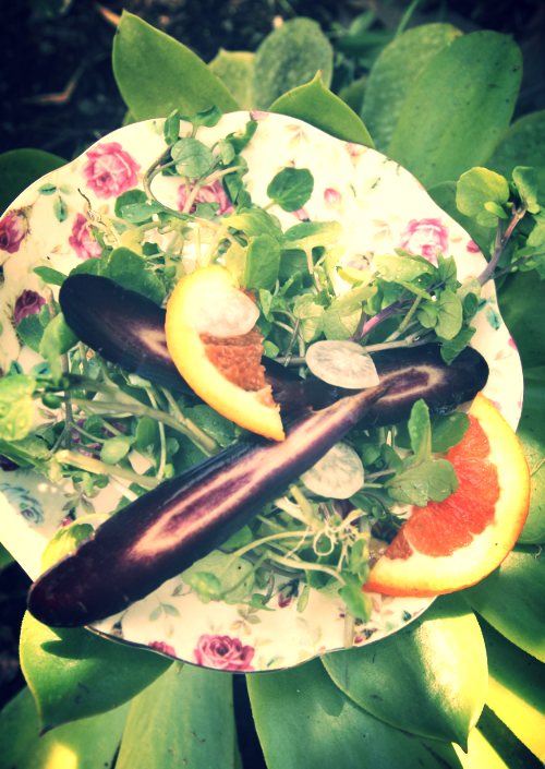Purple carrot glory.&nbsp;